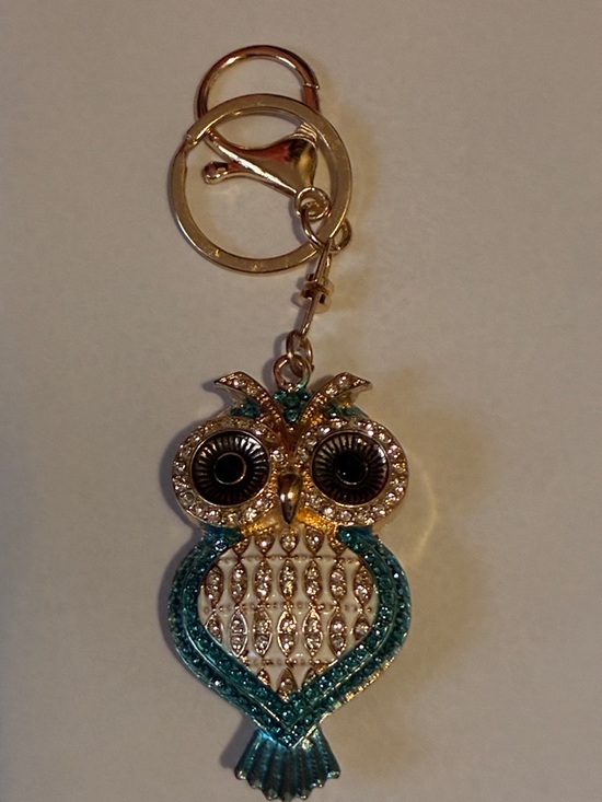 Other - Teal Crystal Owl Keychain